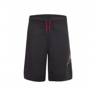 Шорты Nike JUMPMAN BIG AIR MESH SHORT thumbnav 1