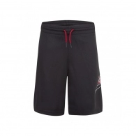 Sorti Nike JUMPMAN BIG AIR MESH SHORT 