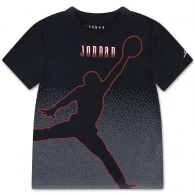 Футболка Nike JDB JM GLOBAL HBR SS TEE thumbnav 2