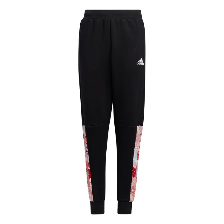 Брюки Adidas JK CNY PE PNT photo 1