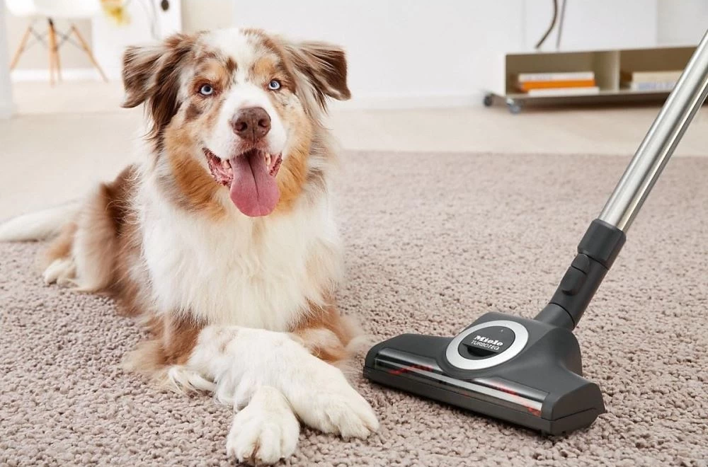 Perie universala podea/covor Miele 41996606EU1, Germania photo 3