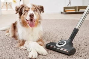 Perie Turbo pentru covoare Miele TurboTeQ STB305-3, 41996606EU1 thumbnav 3