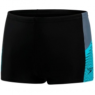 Плавки-шорты Speedo DIVE ASHT JM                   thumbnav