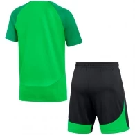 Набор футболка + шорты Nike LK NK DF ACDPR TRN KIT K thumbnav 3