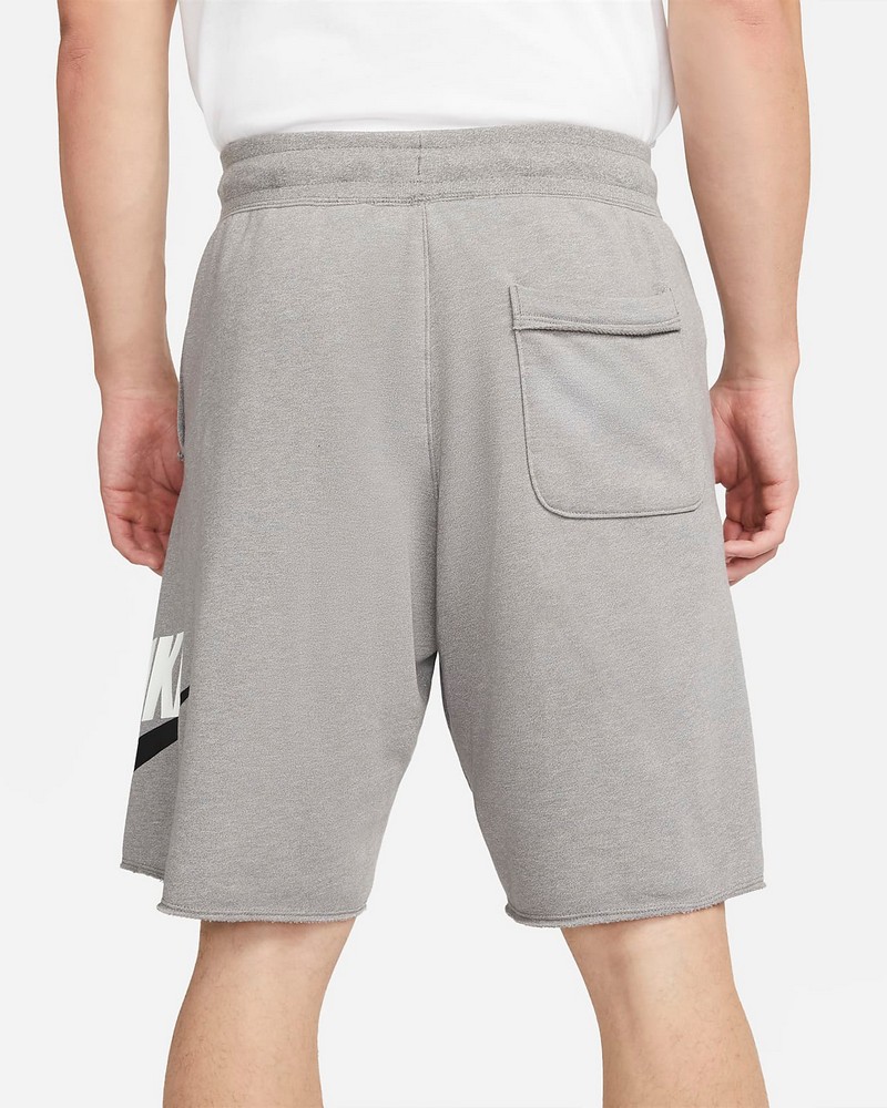 Шорты мужские Nike M NSW SPE FT ALUMNI SHORT L Серый photo 3