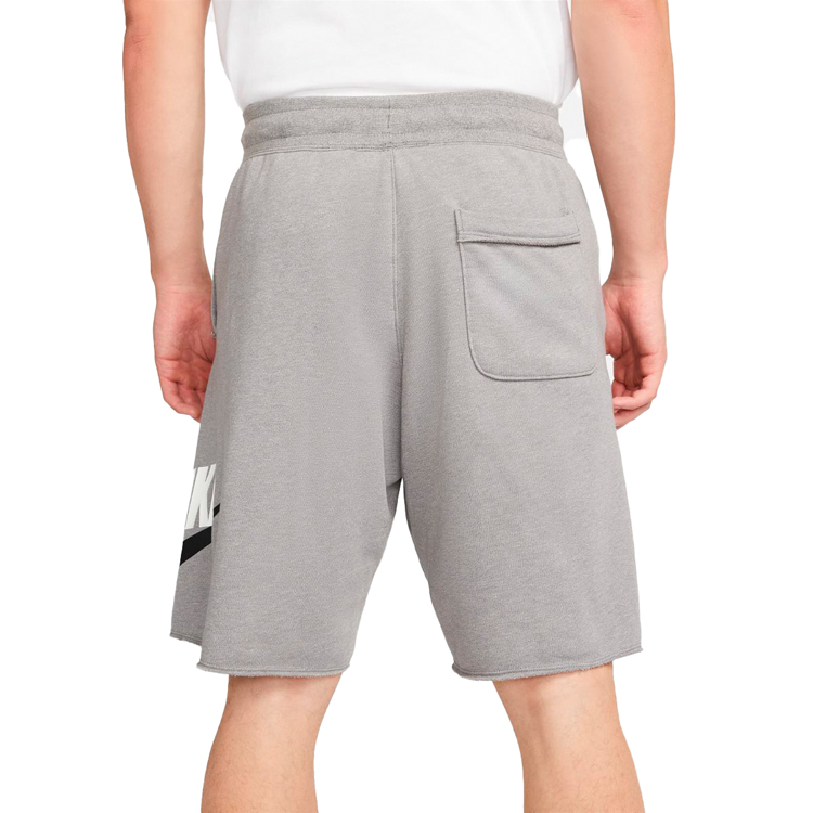 Шорты мужские Nike M NSW SPE FT ALUMNI SHORT L Серый photo 5