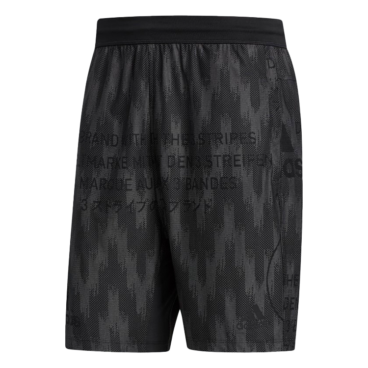 Sorti Adidas CITY KNIT SHORT photo 