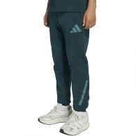 Pantaloni Adidas J Z.N.E. PT 