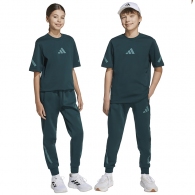 Брюки Adidas J Z.N.E. PT thumbnav 2