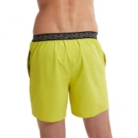 Шорты для плавания Speedo HYPERBOOM BAND 16 WSHT AM thumbnav 4