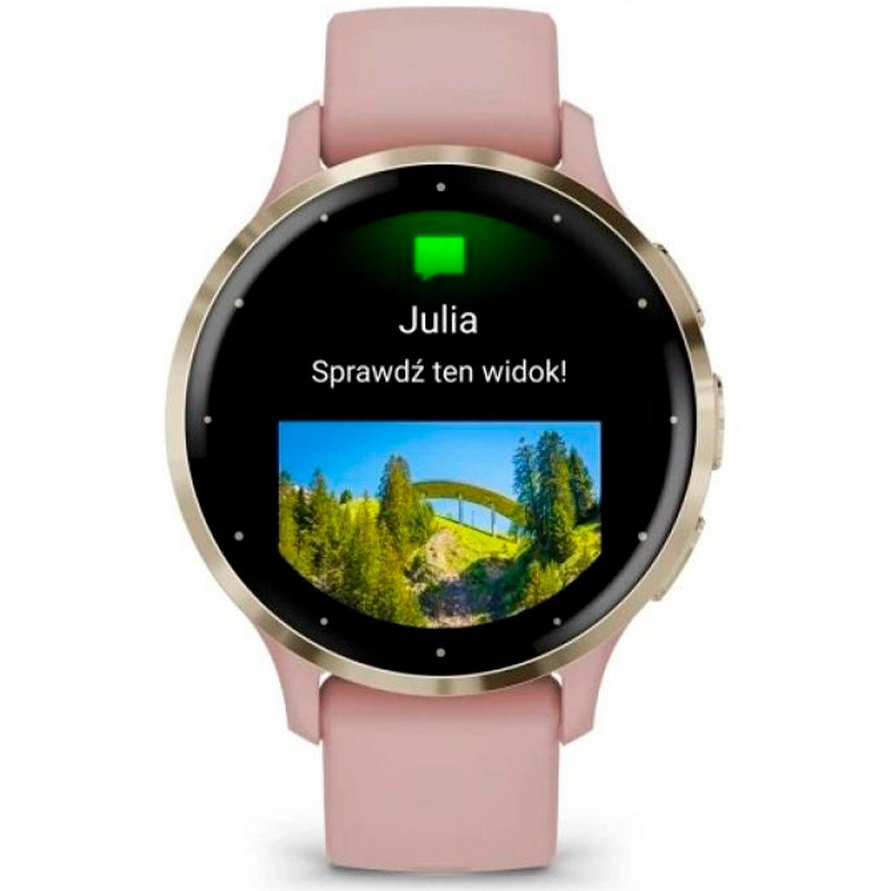 Умные часы Garmin Venu 3S, Pink Dawn / Soft Gold photo 4