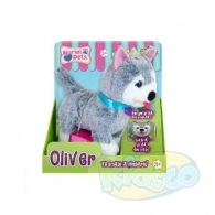 Noriel INT3657 Noriel Pets - Catelusul Oliver 