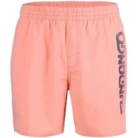 Шорты для плавания Fundango Bono Beach Shorts thumbnav 2