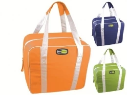 Geanta frigorifica Evo Medium 34737 