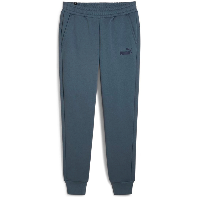 Брюки Puma ESS Logo Pants FL cl photo Брюки Puma ESS Logo Pants FL cl photo