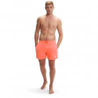 Шорты для плавания Speedo ESSENTIALS 16 WSHT AM thumbnav 2