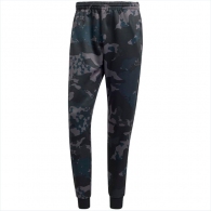 Брюки Adidas CAMO SSTR TP thumbnav