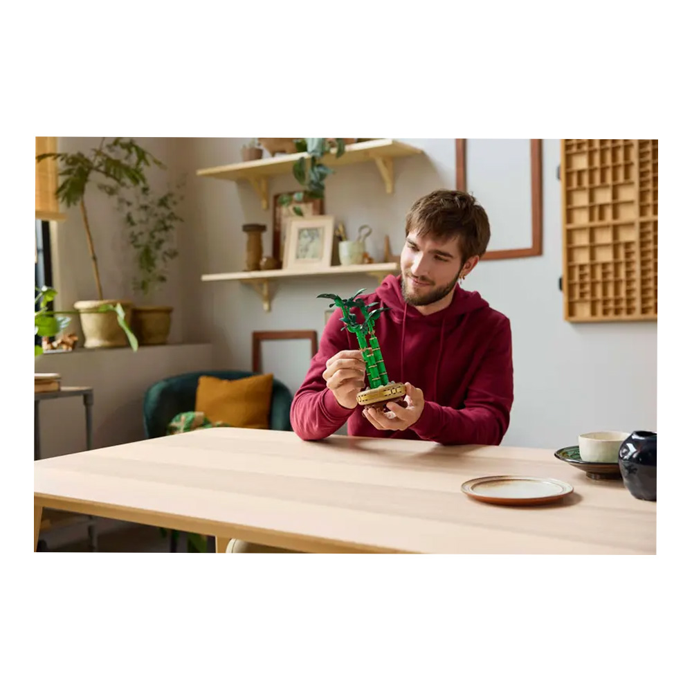 Constructor Lego Botanical Collection Lucky Bamboo 10344 de la 18+ ani photo 4