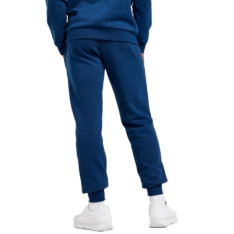Pantaloni Puma Key Graphic Pants FL M Albastru Barbati photo 5