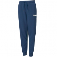 Брюки Puma Key Graphic Pants FL thumbnav