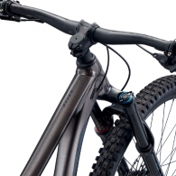 Bicicleta de munte Giant Reign 29 L Metal thumbnav 3