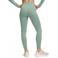 Легинсы Under Armour UA Vanish Seamless Legging thumbnav 4
