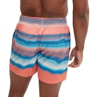 Плавки Speedo PLMT LEISURE 16 WSHT thumbnav 4
