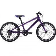 Bicicleta pentru copii Giant ARX 