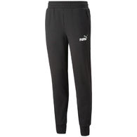 Брюки Puma ESS+ 2 Col Logo Pants FL thumbnav