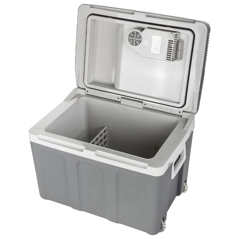 Cумка холодильник Camry CR8061 photo 2