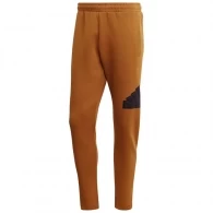 Брюки Adidas M FI BOS PT 