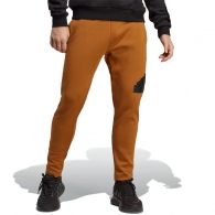 Брюки Adidas M FI BOS PT thumbnav 2