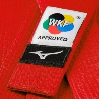 Centura de karate Mizuno RUN BELT thumbnav 2