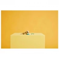 Constructor Lego 31162 thumbnav 6