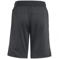 Sorti Adidas J D4T SHORTS thumbnav 2