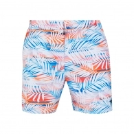Sorti Speedo VINTAGE PARADISE 16WSHT AM 