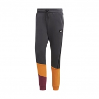 Брюки Adidas M FI CB Pant thumbnav 1