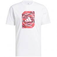 Футболка Adidas M C CAMO BOX T thumbnav 1