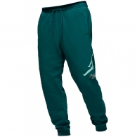 Брюки Nike M J ESS FLC BASELINE PANT thumbnav 1