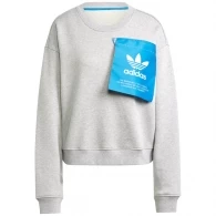Толстовка Adidas KSENIA TAG SWT 