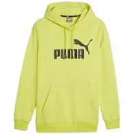 Толстовка Puma ESS Big Logo Hoodie FL 