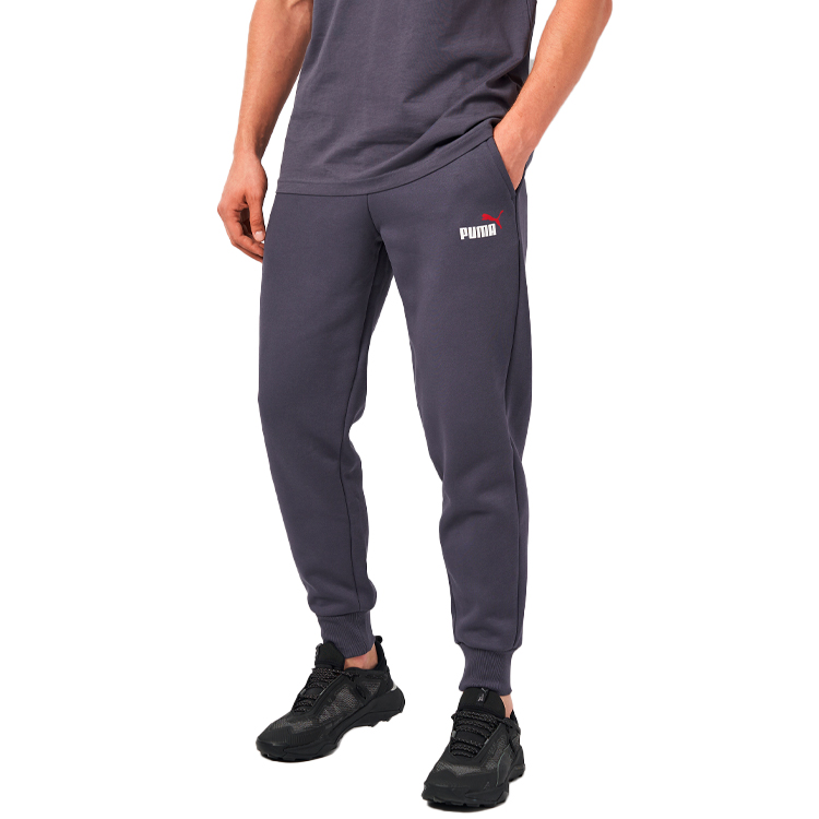 Pantaloni Puma ESS+ 2 Col Logo Pants FL L Albastru Barbati photo 2