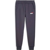 Брюки Puma ESS+ 2 Col Logo Pants FL thumbnav