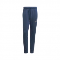 Pantaloni Adidas M FI GFX PT thumbnav