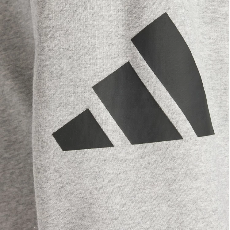 Брюки Adidas M BL FT PT L Серый Мужской photo 4