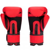 Перчатки для бокса Everlast PROSPECT GLOVES thumbnav 4