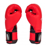 Перчатки для бокса Everlast PROSPECT GLOVES thumbnav 5