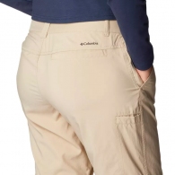 Брюки Columbia Silver Ridge Utility Convertible Pant thumbnav 4