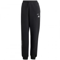 Брюки Adidas W BLUV Q3 FL PT 