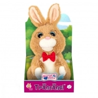 Noriel INT8430 Noriel Bebe - Iepurasul Povestitor New 
